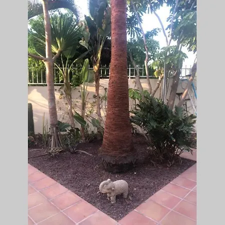 Luis * Плая-де-лас-Америкас