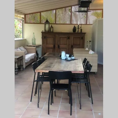 Luis Playa de las Americas (Tenerife)