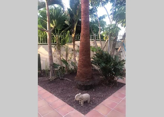 Luis * بلايا ذي لاس أميريكاس